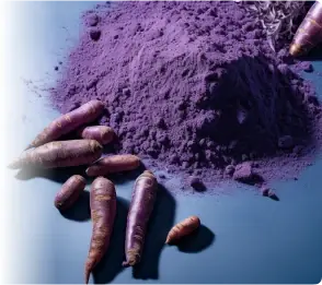 Purple carrots